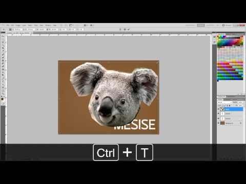 MESISE.COM – Photoshop (PSD) TO AFTER EFFECT (COMP)