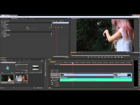 MESISE.COM สอน Premiere Pro เบื้องต้น จนตัดต่อเสร็จ