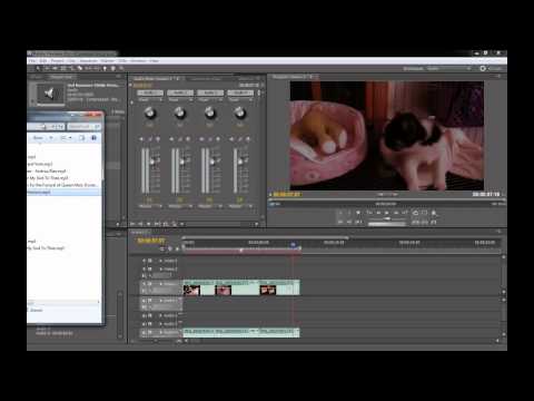 MESISE.COM – การยืดVDOในPremiere Pro