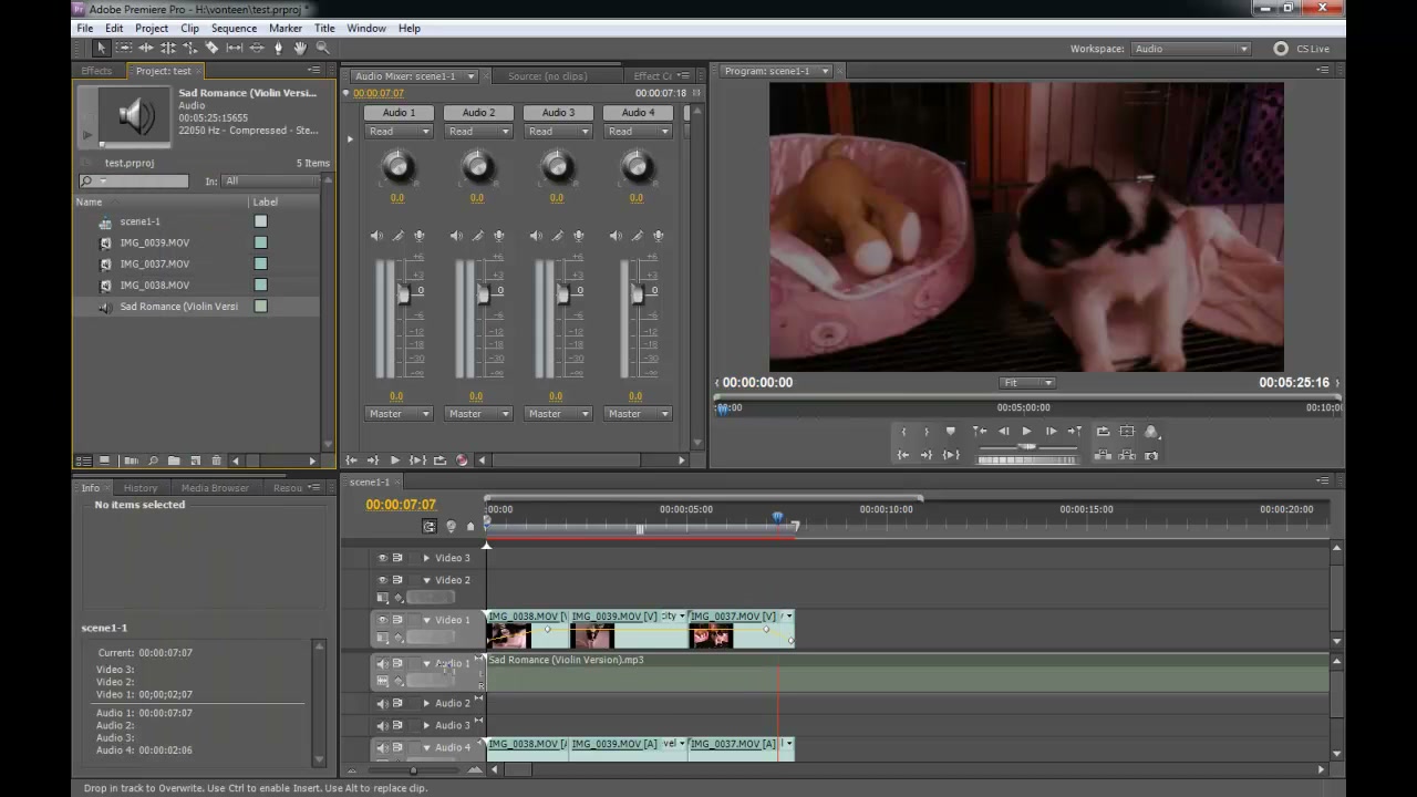 การยืดVDOในPremiere Pro - ตัวอย่างหน้าจอระหว่างเตรียมงานหรือเลือกส่วนที่ต้องปรับแต่งในวิดีโอ