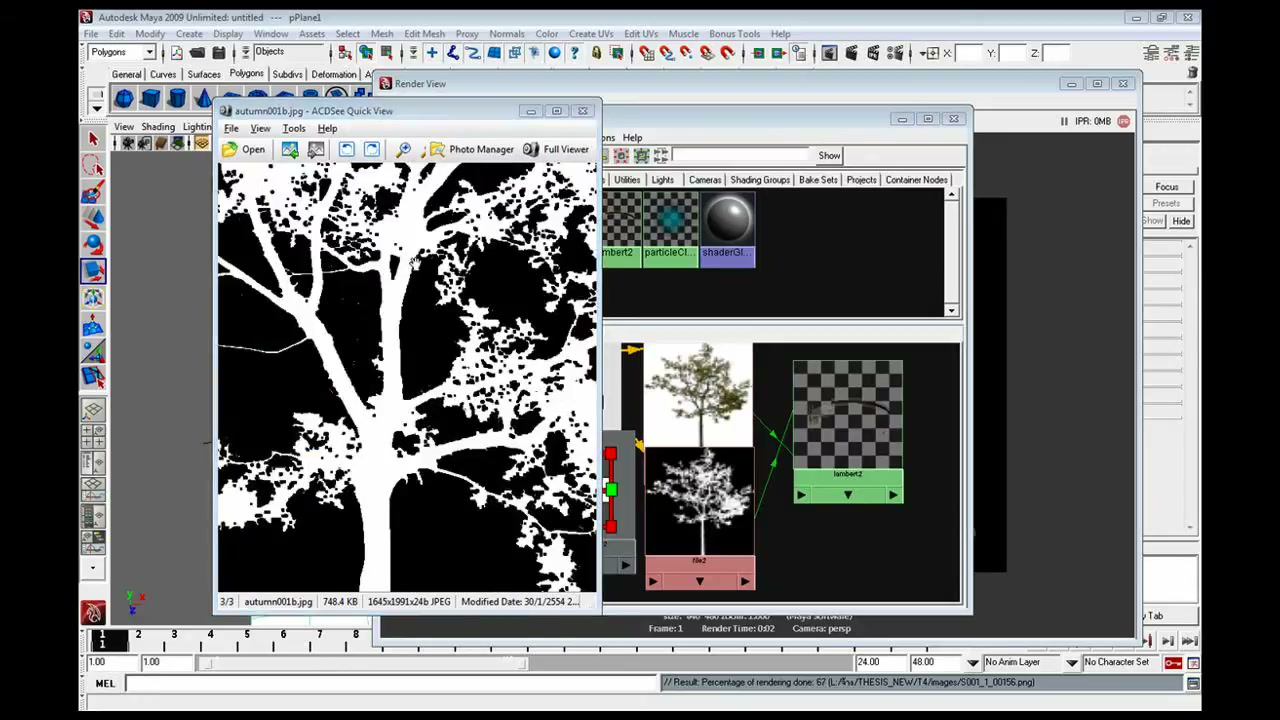 MESISE STUDIO การเจาะภาพต้นไม้ใน MAYA - ตัวอย่างหน้าจอระหว่างเตรียมงานหรือเลือกส่วนที่ต้องปรับแต่งในวิดีโอ