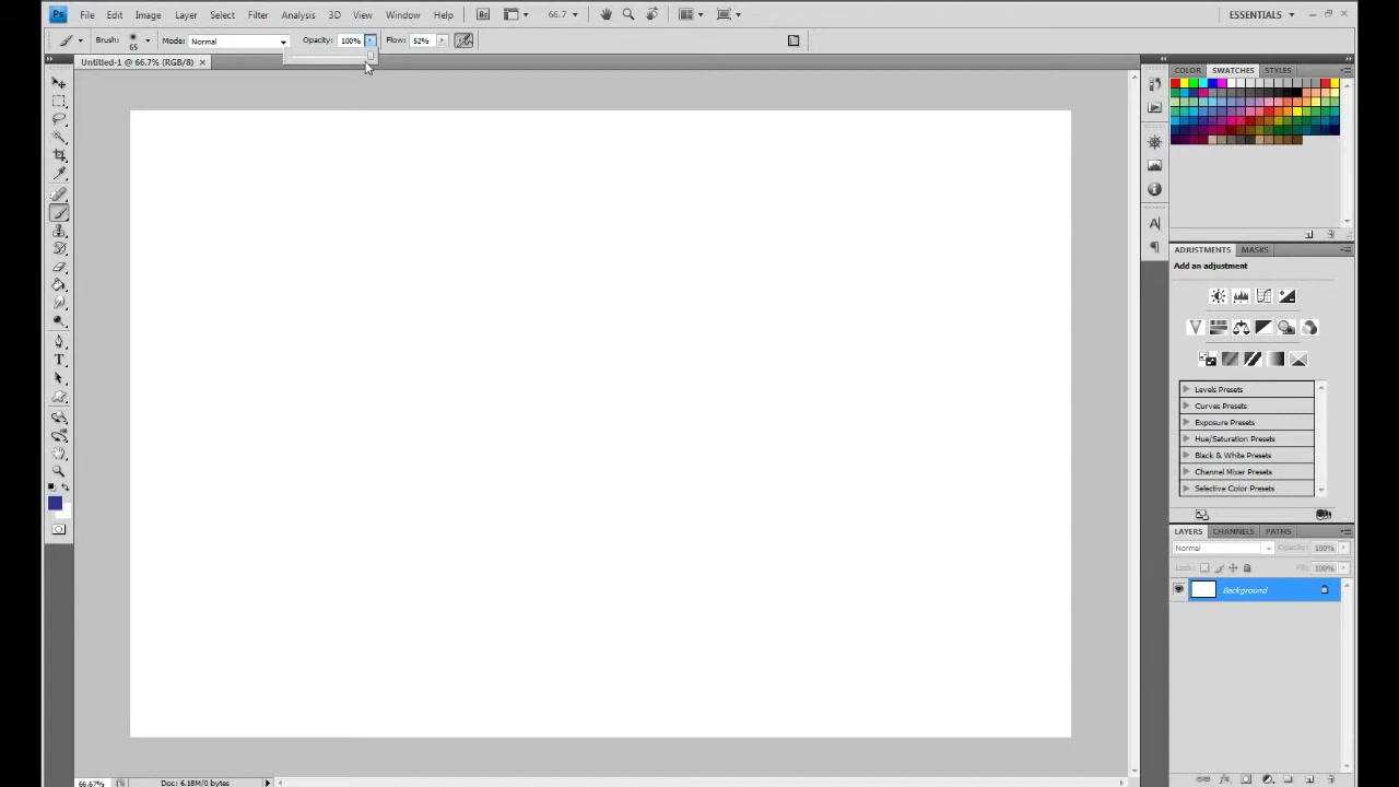 MESISE STUDIO BRUSH TEST PHOTOSHOP - ตัวอย่างหน้าจอระหว่างเตรียมงานหรือเลือกส่วนที่ต้องปรับแต่งในวิดีโอ