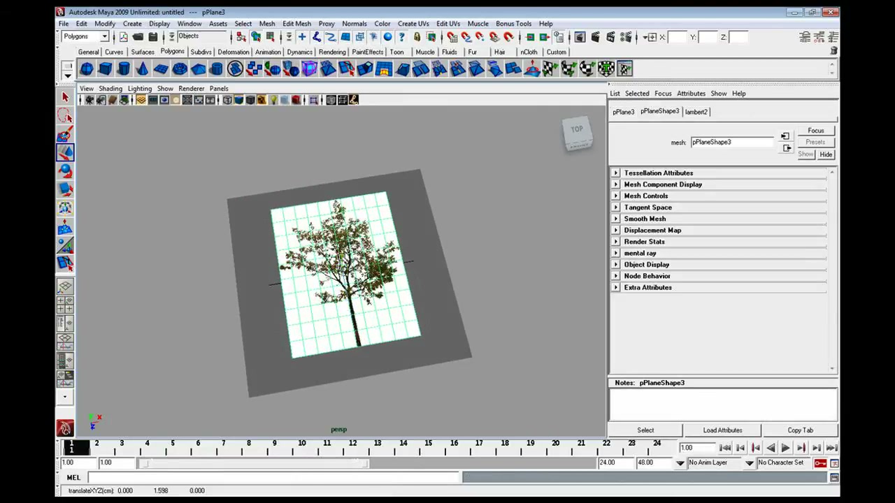 MESISE STUDIO การเจาะภาพต้นไม้ใน MAYA - ภาพประกอบช่วงลงมือทำขั้นตอนหลักของบทเรียน เพื่อให้เห็นเครื่องมือและตำแหน่งที่ใช้งาน
