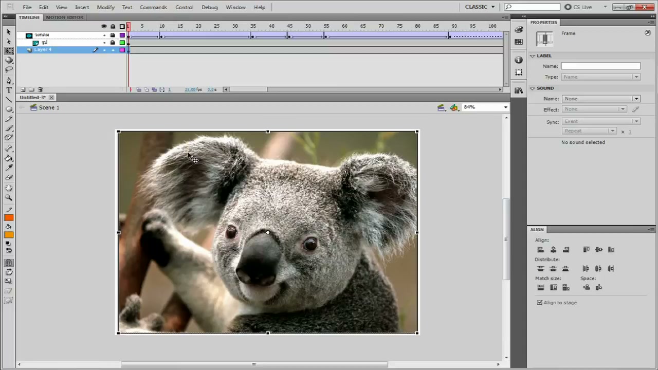 MESISE STUDIO - flash basic mask - ภาพช่วงตรวจผลลัพธ์หรือเตรียมนำงานไปใช้งานต่อหลังทำตามขั้นตอนเสร็จ