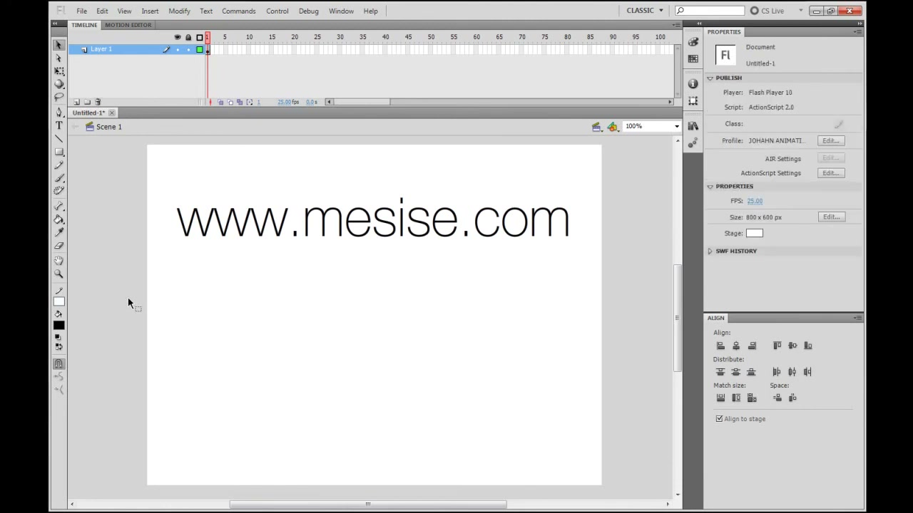 MESISE STUDIO - FLASH 2D BASIC 1/2 - ภาพช่วงตรวจผลลัพธ์หรือเตรียมนำงานไปใช้งานต่อหลังทำตามขั้นตอนเสร็จ