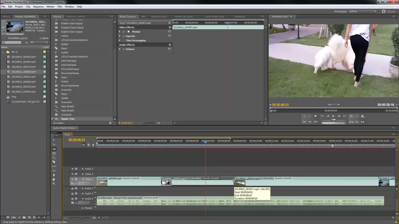 สอนตัดวีดีโอด้วย Premiere Pro 5.5 - ตัวอย่างหน้าจอระหว่างเตรียมงานหรือเลือกส่วนที่ต้องปรับแต่งในวิดีโอ