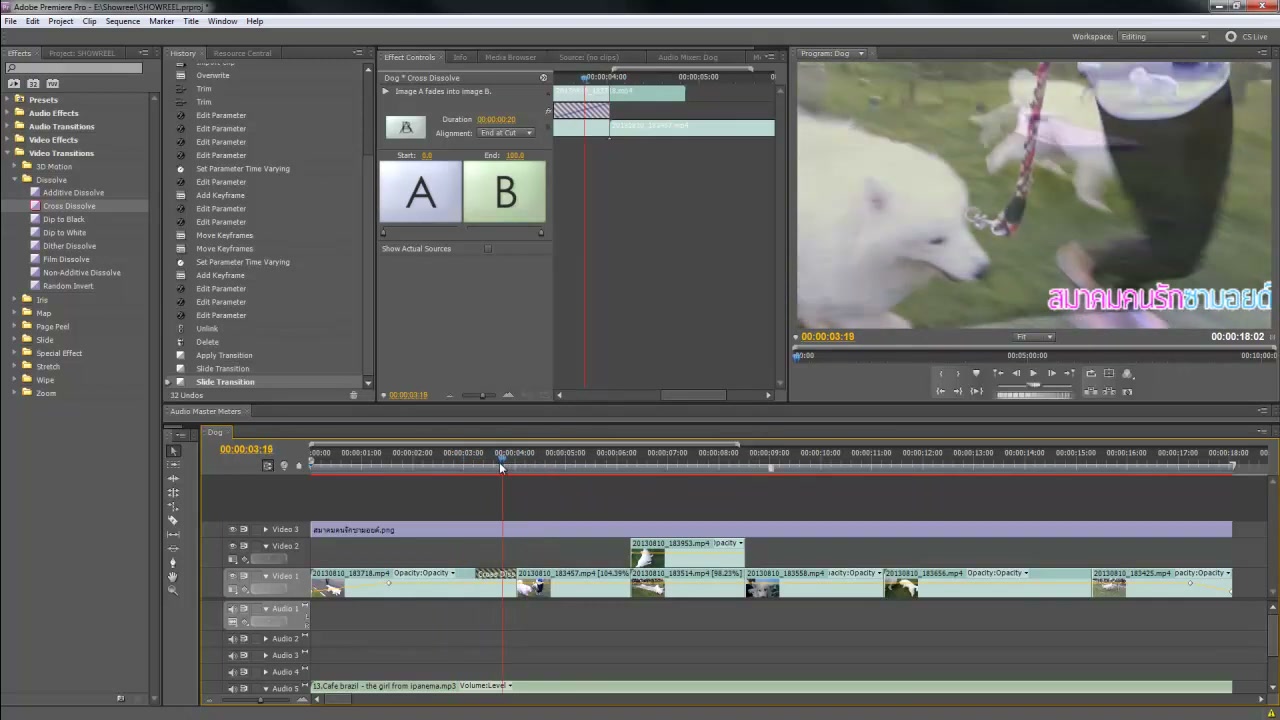 สอนตัดวีดีโอด้วย Premiere Pro 5.5 - ภาพช่วงตรวจผลลัพธ์หรือเตรียมนำงานไปใช้งานต่อหลังทำตามขั้นตอนเสร็จ