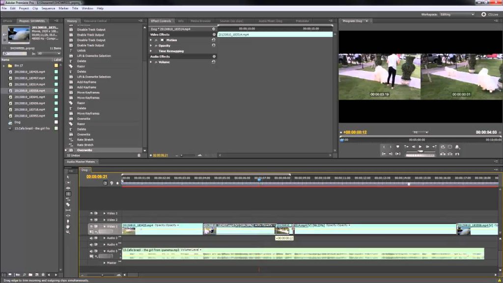 สอนตัดวีดีโอด้วย Premiere Pro 5.5