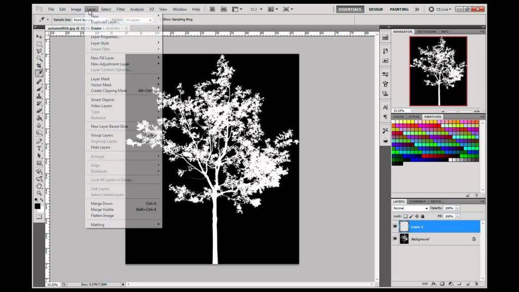 MESISE STUDIO การเจาะภาพต้นไม้ใน MAYA