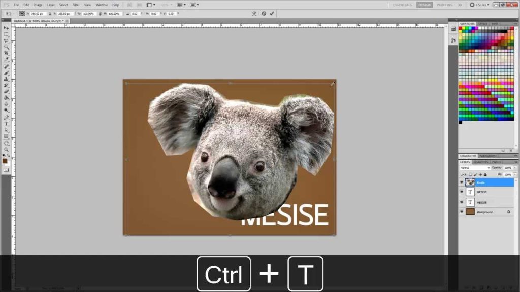 Photoshop (PSD) TO AFTER EFFECT (COMP)